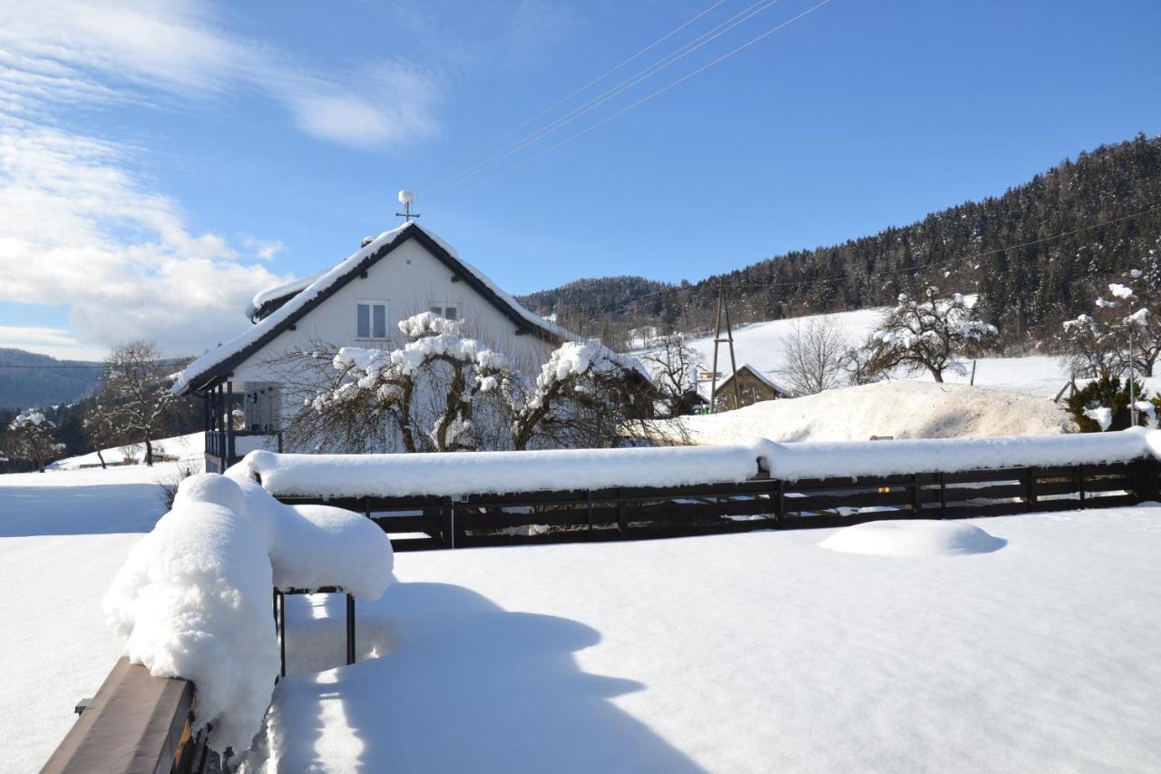 Nikolaierhaus Apartment Feldkirchen in Kärnten Екстериор снимка