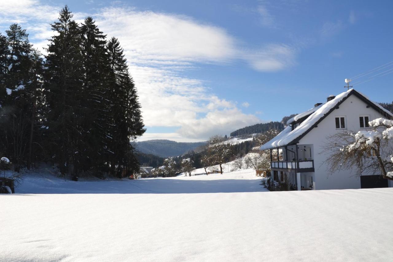Nikolaierhaus Apartment Feldkirchen in Kärnten Екстериор снимка